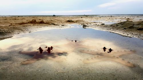 People on beach against sky