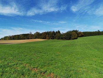 Scenic view of trees on field against sky