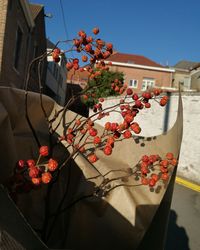 Low angle view of christmas tree against sky