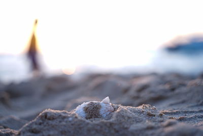 Close-up of rocks on beach against sky