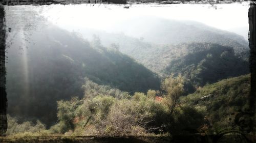 Scenic view of forest against mountains