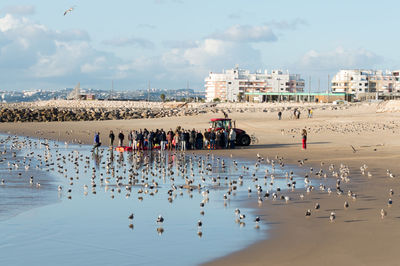 People on beach against sky