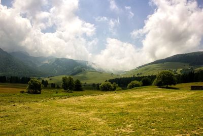 Scenic view of field against sky