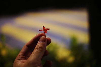 Close-up of person holding hand