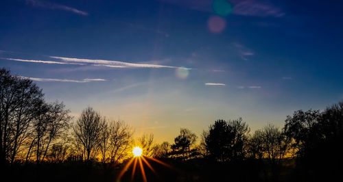 Silhouette trees against sky during sunset