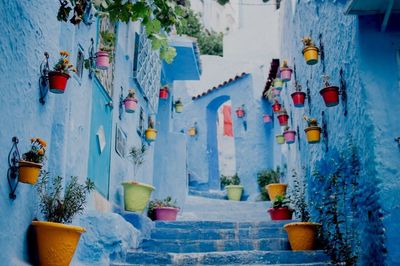 View of multi colored built structure