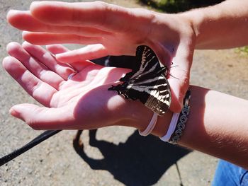 Close-up of hands holding leaf