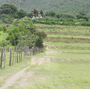 Scenic view of farm