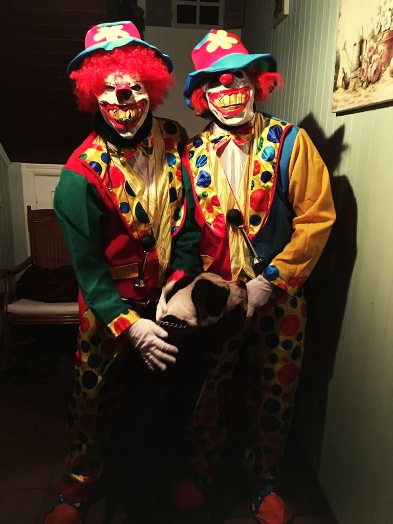 costume, mask - disguise, indoors, stage costume, disguise, performing arts event, fun, face paint, celebration, clown, performance, carnival, two people, arts culture and entertainment, togetherness, spooky, smiling, looking at camera, standing, halloween, mime, day