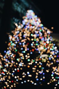 Close-up of illuminated christmas tree at night