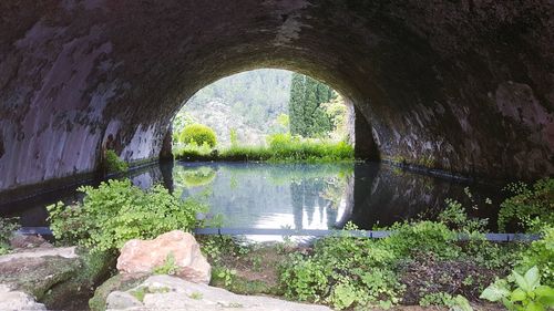 Arch bridge over river