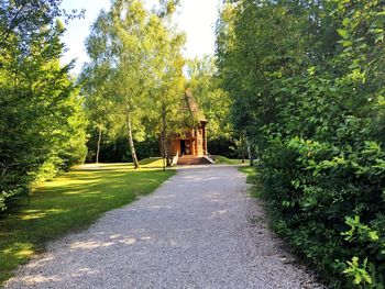 Road amidst trees and plants against clear sky