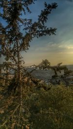 Scenic view of sea against sky at sunset