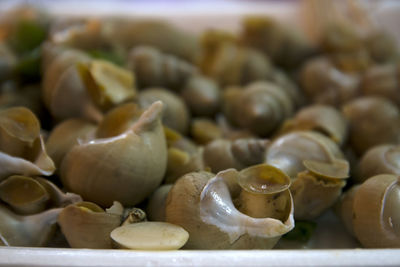 Close-up of fruits on table