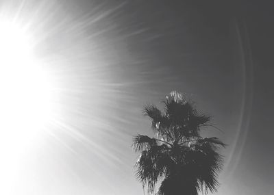 Low angle view of silhouette tree against sky