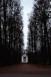 Road amidst trees in forest against sky