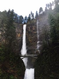 Waterfall in forest