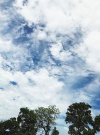 Low angle view of trees against sky