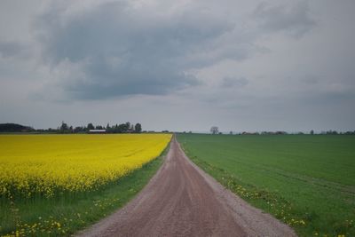 Dirt road amidst field against sky