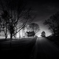 Empty road along bare trees