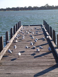 Low angle view of pier over sea against clear sky