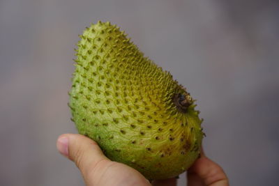 Close-up of hand holding fruit