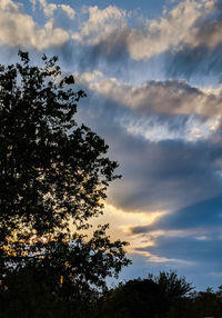 Low angle view of silhouette tree against sky during sunset
