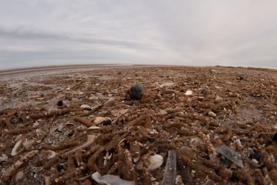Scenic view of rocky land against sky