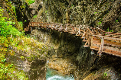 View of bridge over stream in forest