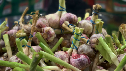 Close-up of food