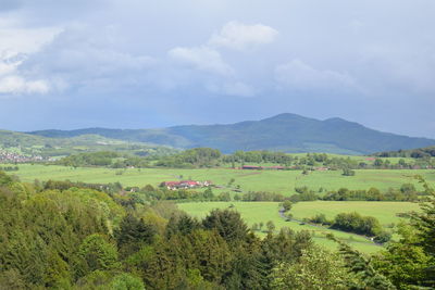 Scenic view of field against sky