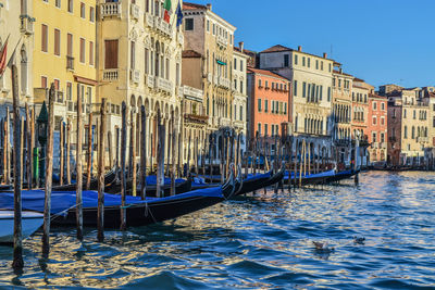 Gondolas moored in canal