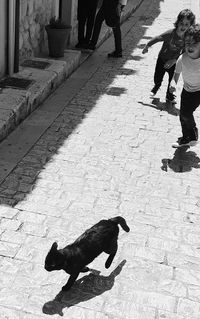 Shadow of woman on wall