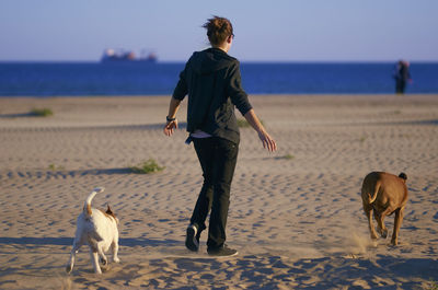 Woman walking with dogs at beach against blue sky