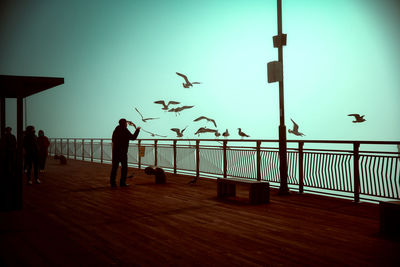 Birds flying over sea against sky