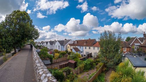 Panoramic view of trees against sky