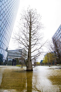 Reflection of built structures in water