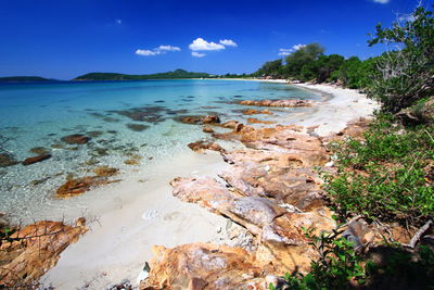 Scenic view of beach against blue sky