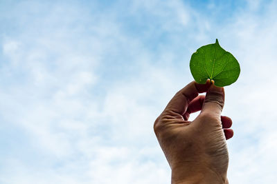 Midsection of person holding leaf against sky