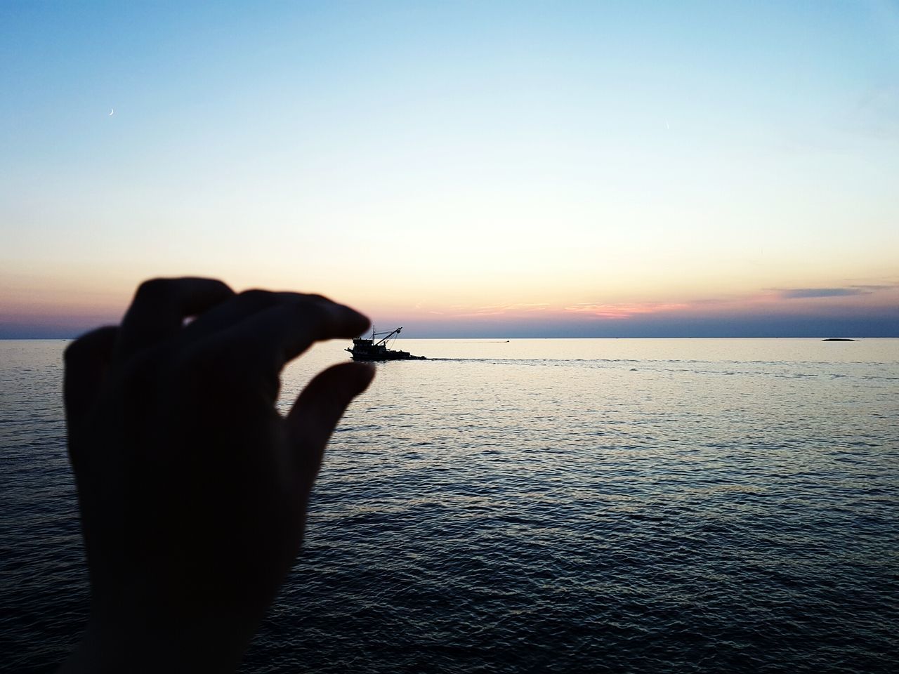 sunset, sea, water, real people, nature, animal themes, silhouette, beauty in nature, sky, one animal, one person, horizon over water, human hand, lifestyles, outdoors, scenics, clear sky, animals in the wild, human body part, beach, day, close-up, mammal, people