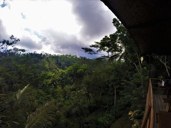 Scenic view of forest against sky