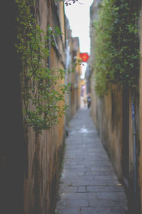 Narrow alley amidst buildings in city