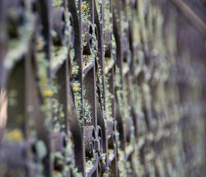 View of train on road