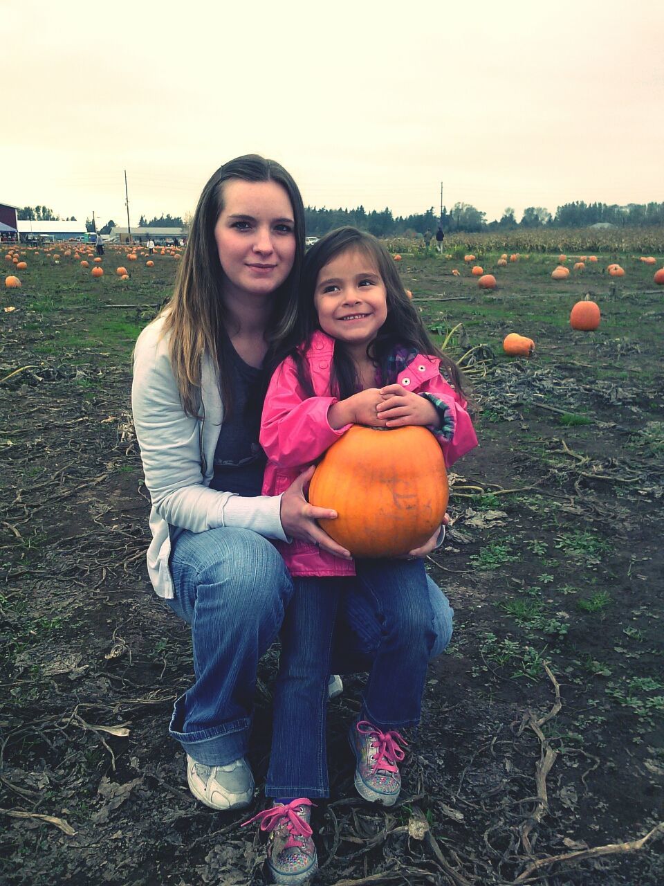 Pumpkin patch