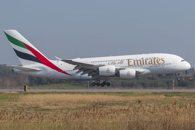 Airplane on field against sky