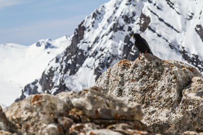 Scenic view of snowcapped mountain against sky