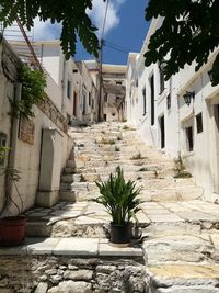 Potted plants by old building against sky