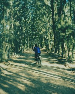 People walking on road in forest