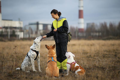 Woman with dogs on grass against sky