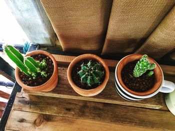 High angle view of potted plants on table